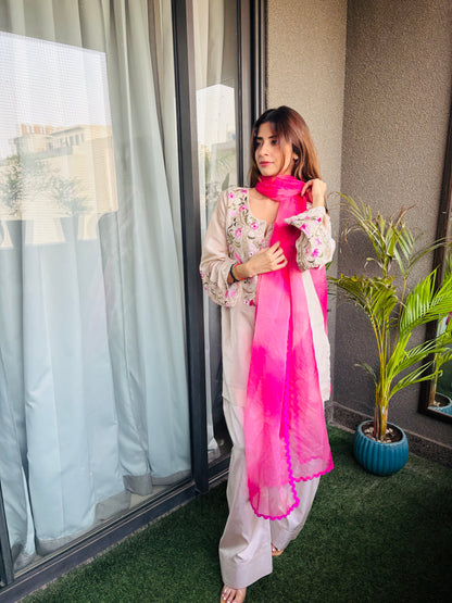 Gulnaar Dreams Suit Set