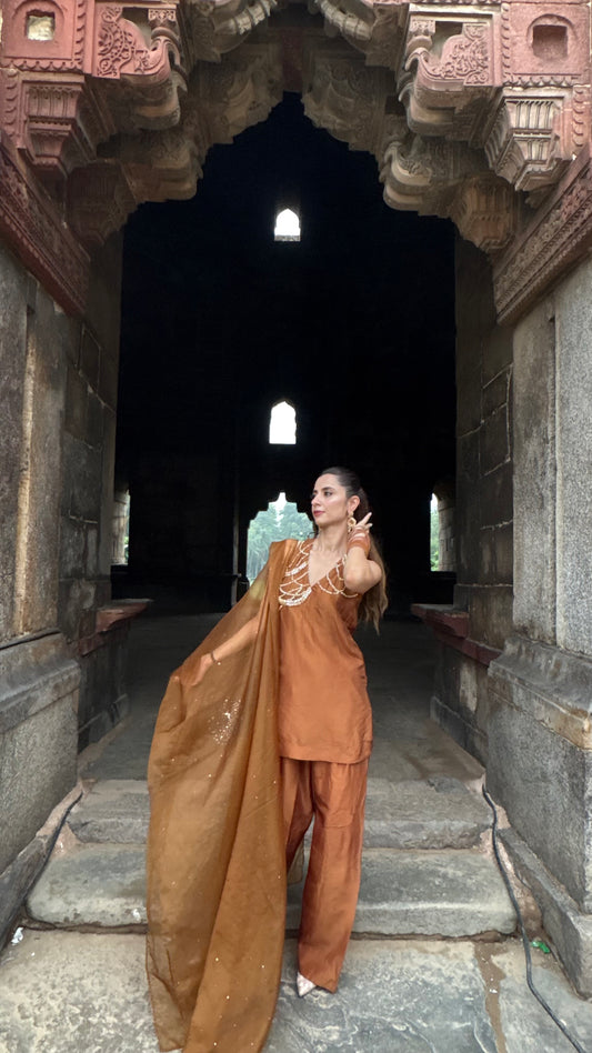 Zamin - Copper Brown Suit set